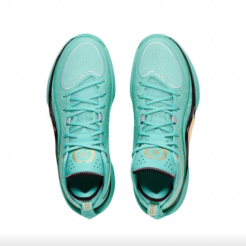 Li-ning Wade shadow 5