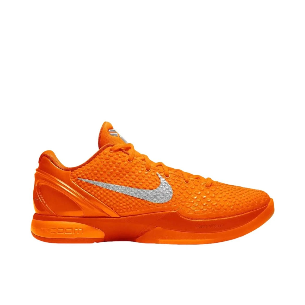Nike Kobe 6 Protro 