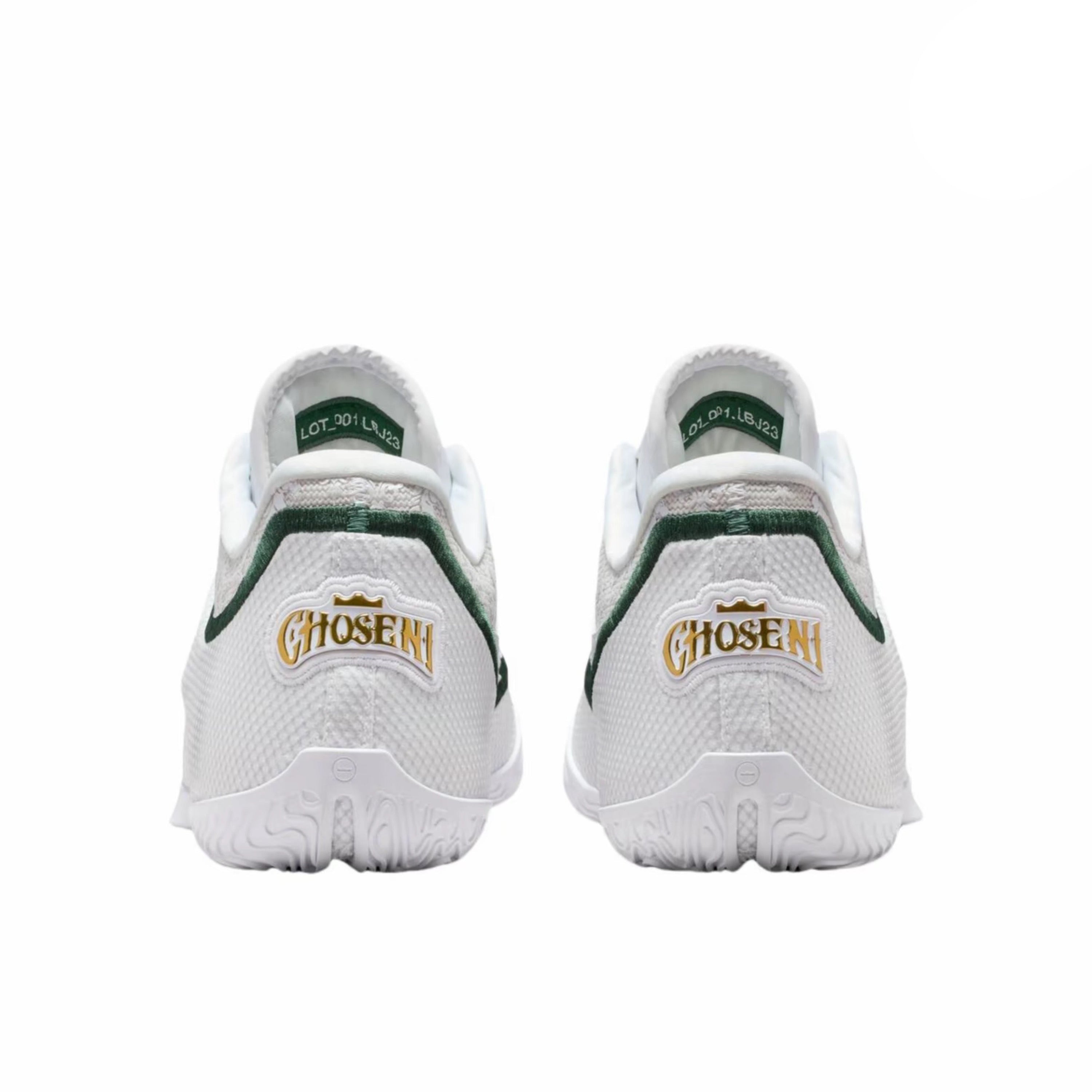 Nike Lebron 23 EP "From This Point Forward"