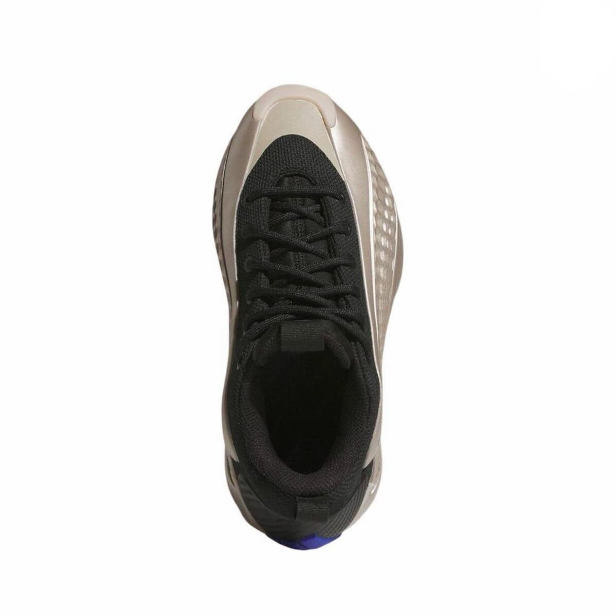 adidas AE 1  LOW “Champagne Metallic”